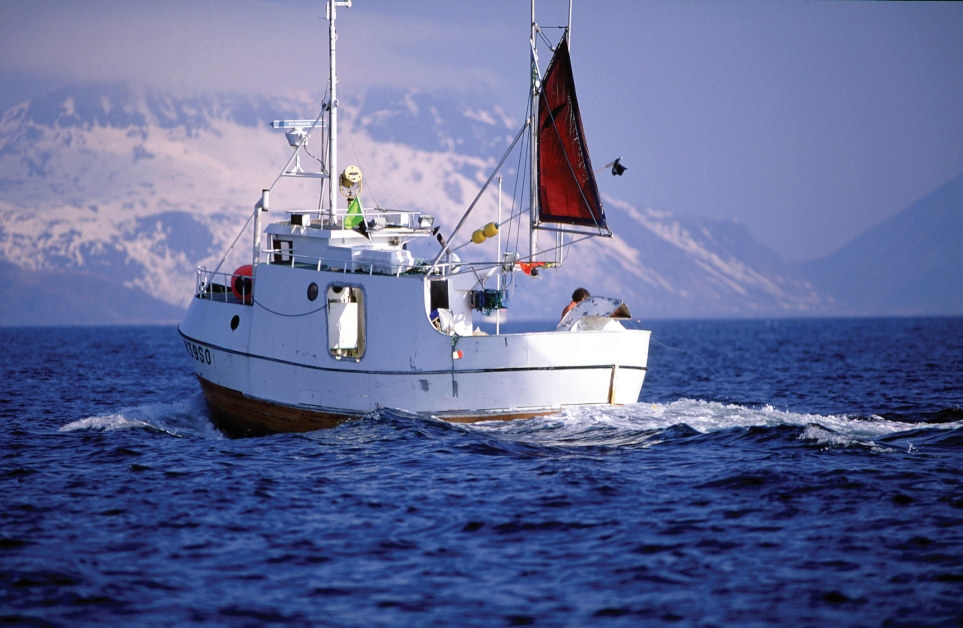 Fisk og sjømat