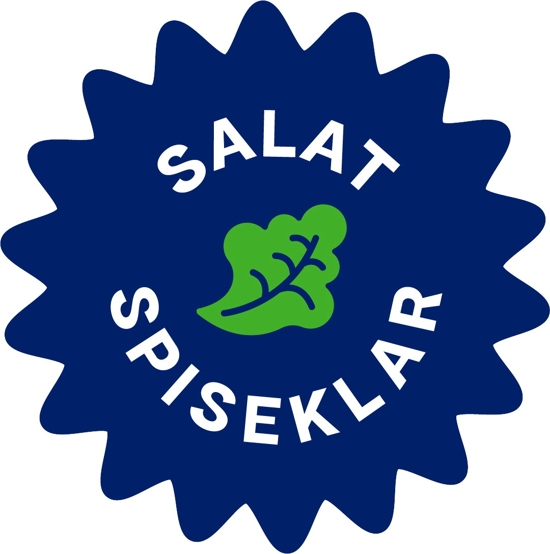 Salat Spiseklar.jpg