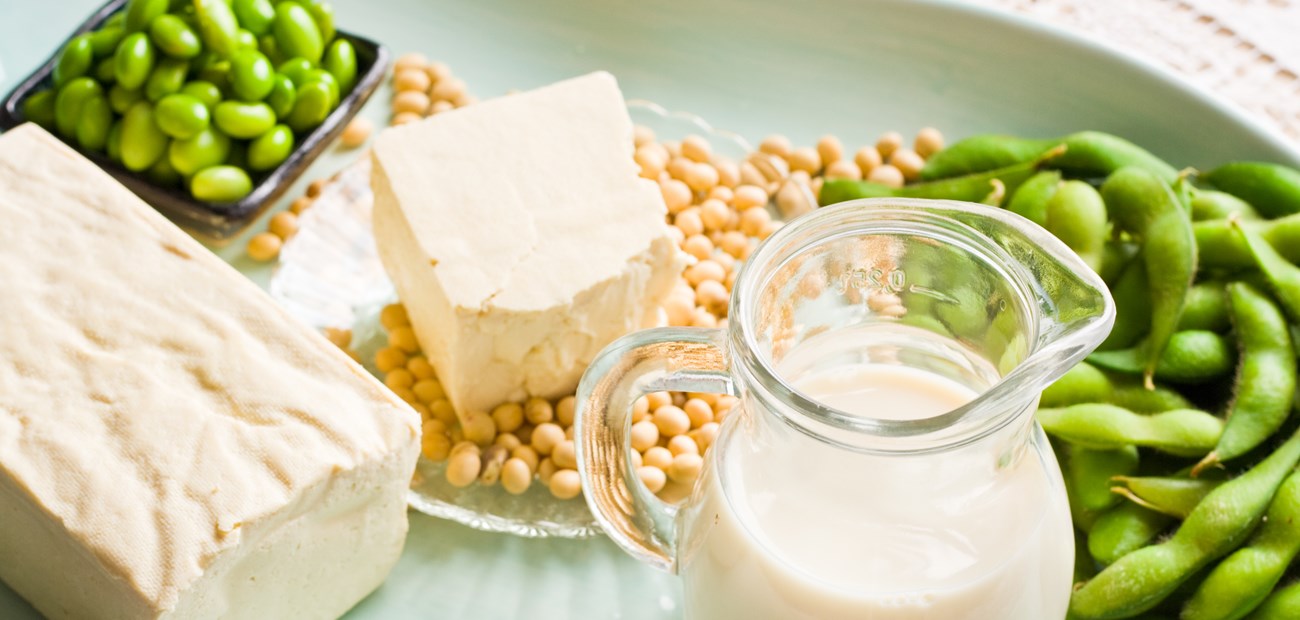 Fakta om soya og soyaprotein