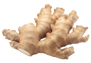 Ingefær