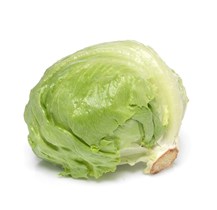 Isbergsalat