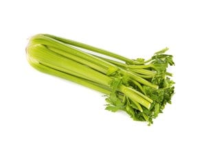 Stangselleri