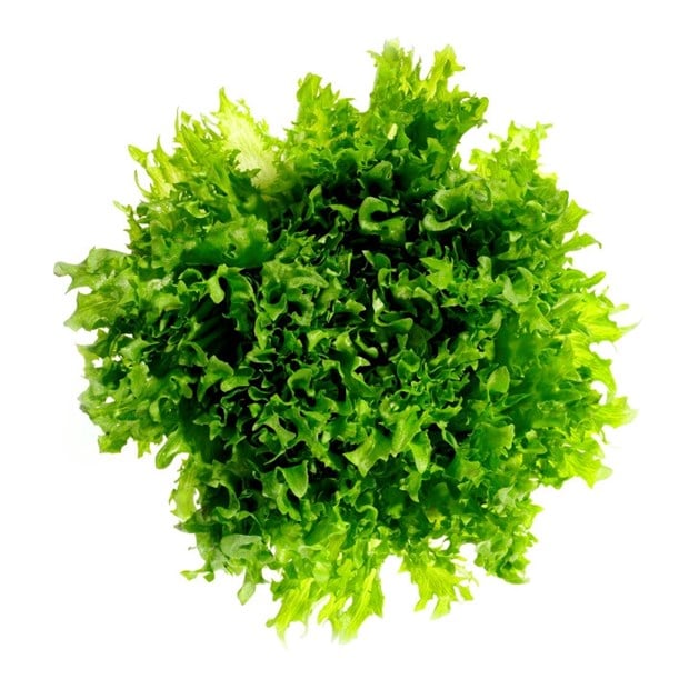 Crispisalat