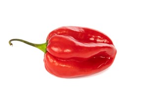 Habanero