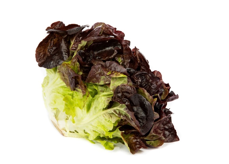 Ekebladsalat