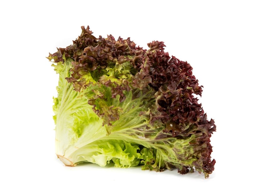 Rød og grønn lollo