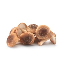 Shiitake