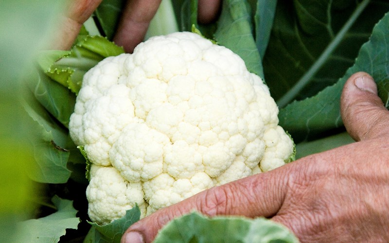 Vi elsker norske produkter