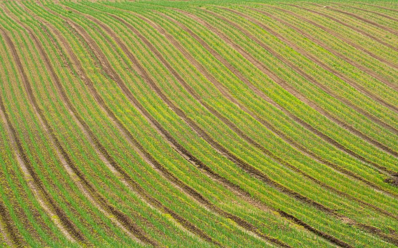 Etisk styring påvirker alt arbeidet i BAMA