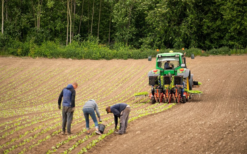 Nye plantekulturer og produksjonsmetoder