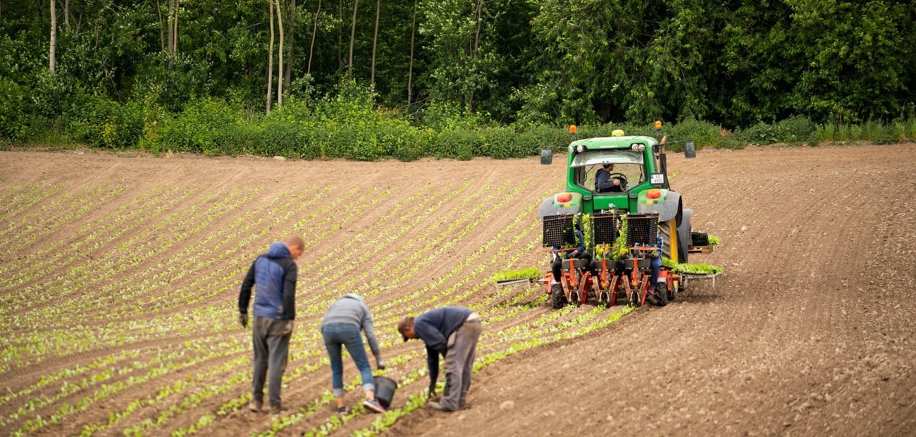 Nye plantekulturer og produksjonsmetoder