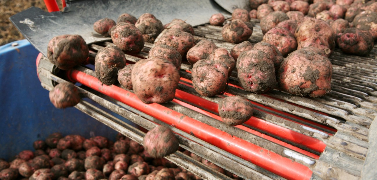 Gjenbruk, sortering og materialgjenvinning