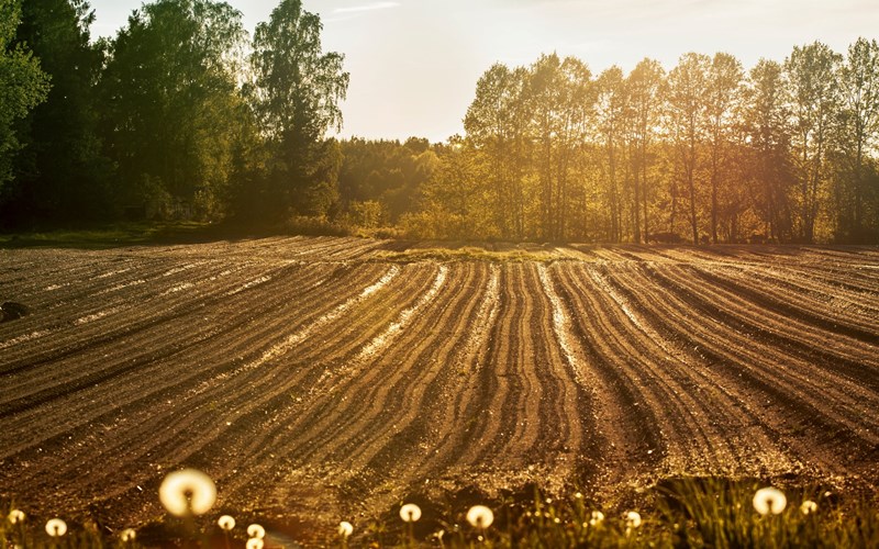 Samarbeidspartnere og produsenter