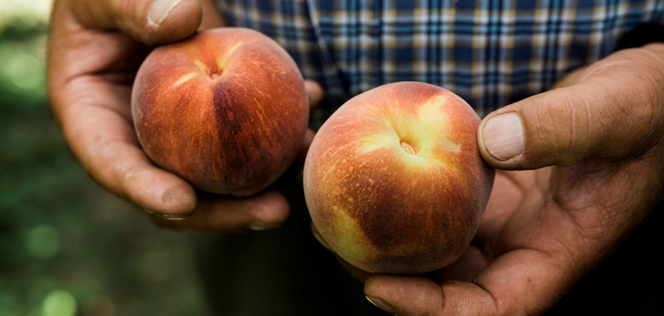 Større nettverk sikrer varestrømmen