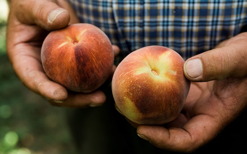 Større nettverk sikrer varestrømmen