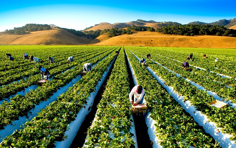 Lokal og global virksomhet