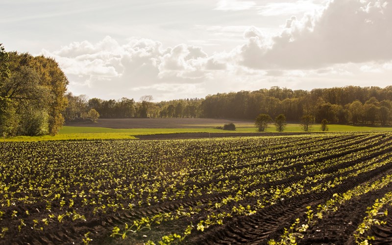Overgang til sirkulærøkonomi