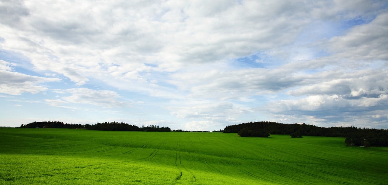 Plantevern