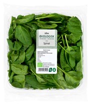 Spinat