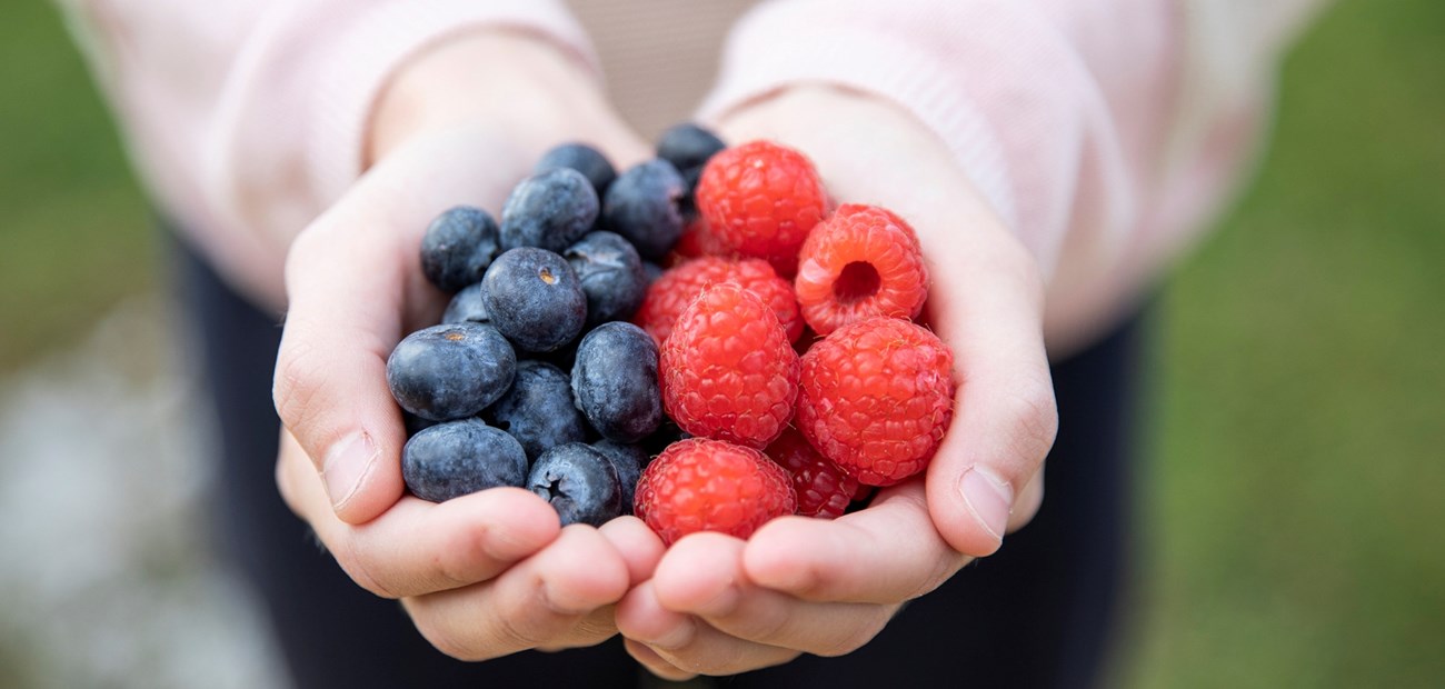 Dette er "5 om dagen"