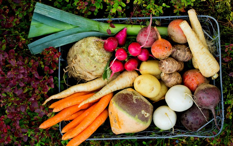 Planlagt norsk produksjon