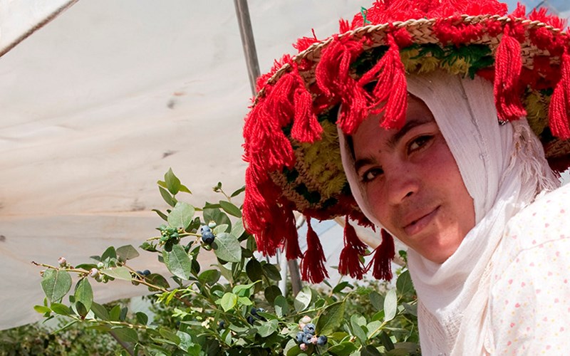 Sosial dialog skaper bedre arbeidsforhold