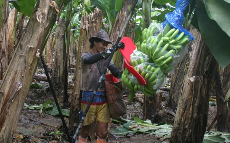 Leverandører og etisk handel