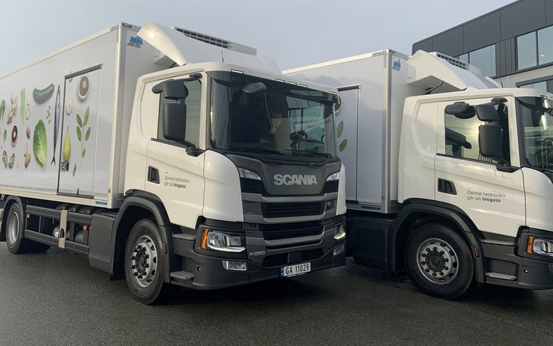 Bruk av fornybare ressurser