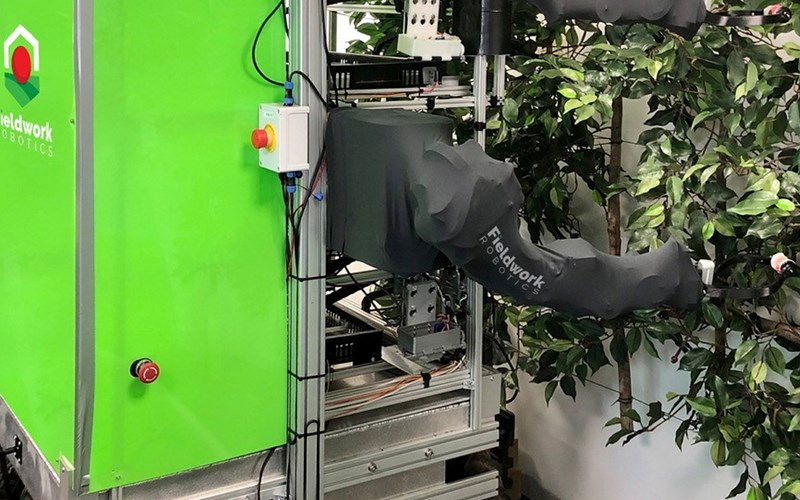 Bringebærplukker grofondet