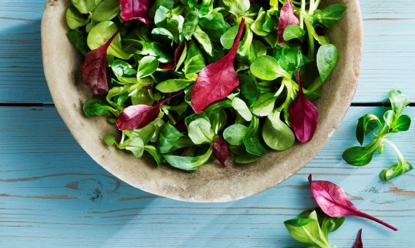 Hvorfor holder Grønn & Frisk-salatene en så høy kvalitet?