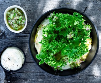 Crispisalat med frisk sellerikrem
