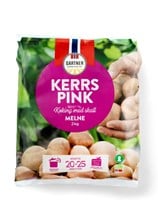 Kerrs Pink
