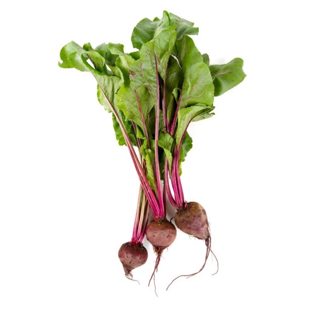 Rødbeter bunt