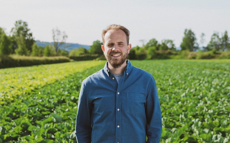 Jordens beste poteter