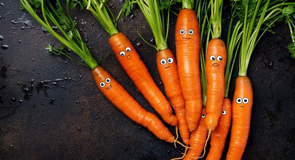 Visste du at gulrøtter kan bli stressa?