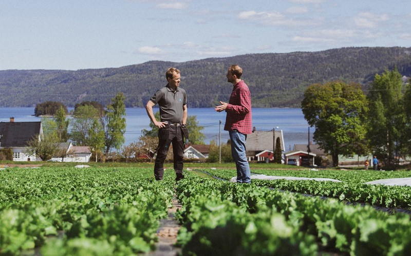 En salathage i særklasse