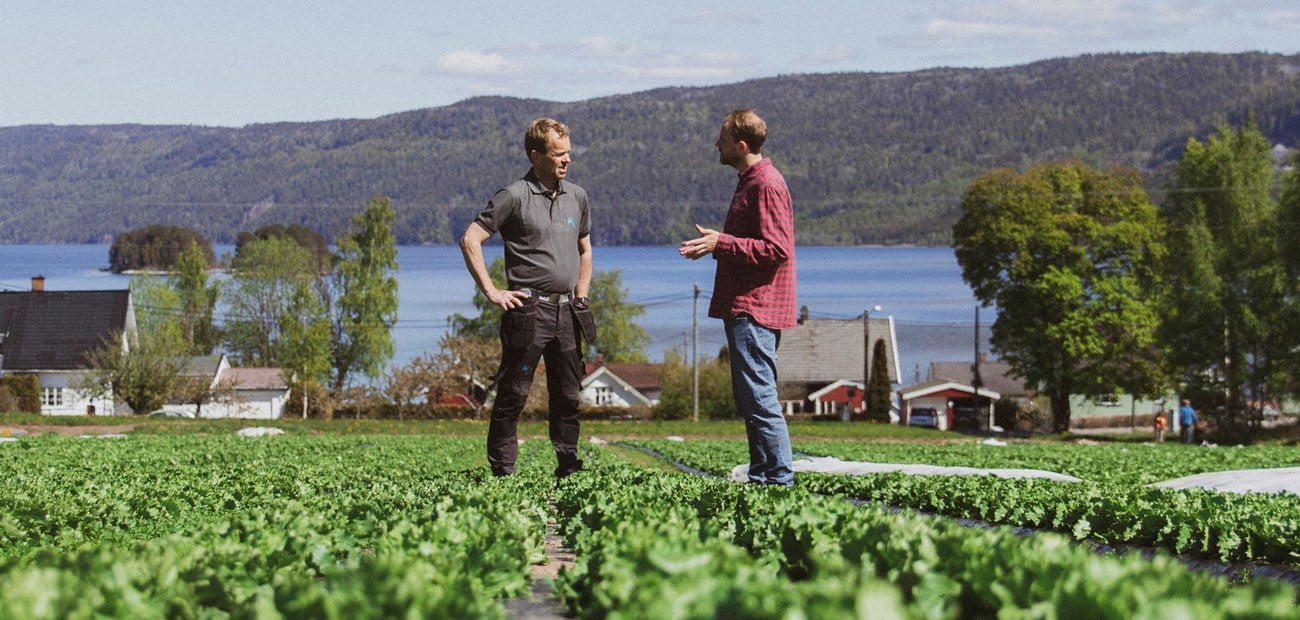 En salathage i særklasse