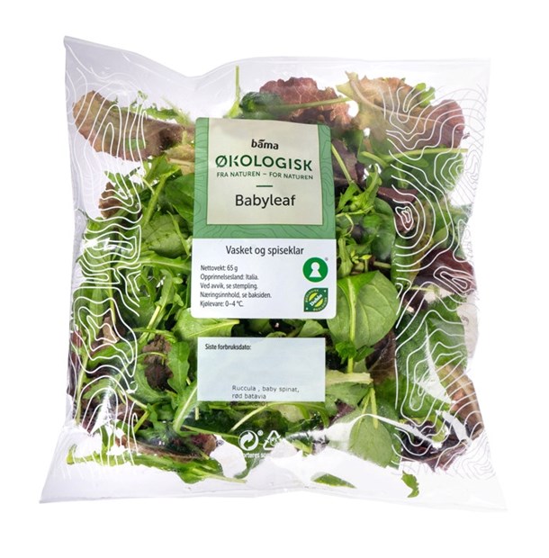 Babyleaf salat