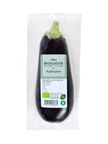 Aubergine