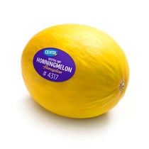 Honningmelon