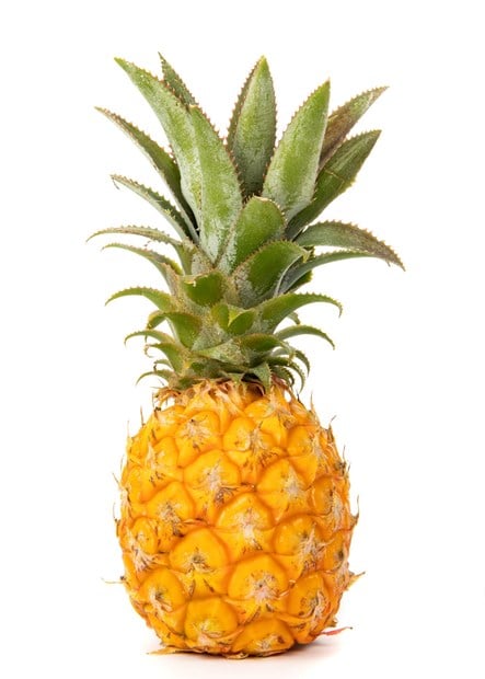Miniananas