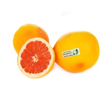 Grapefrukt