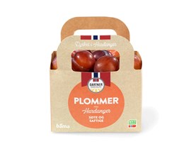 Plommer