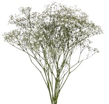 Brudeslør