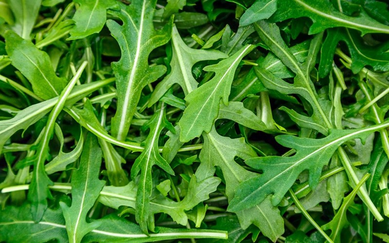 Hvorfor bruker vi plastemballasje?