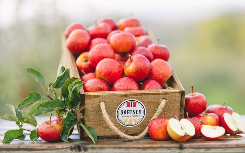 Det norske juleeplet