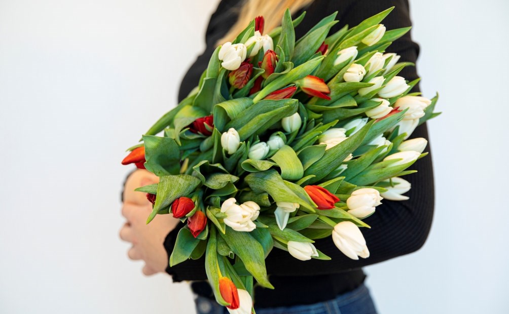 Derfor er tulipaner så populære