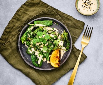 Padron med yoghurt- og tahinidressing