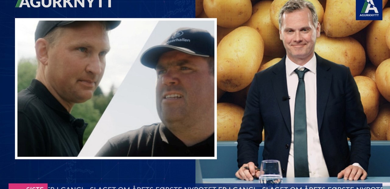 Hvem vinner nypotetkappløpet?