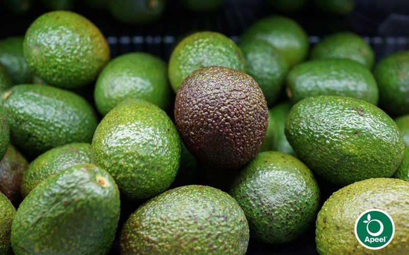 Mat beskytter mat: - BAMA tester usynlig avokado-beskyttelse